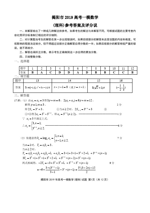 广东省揭阳市2019年高考一模数学(理科)参考答案