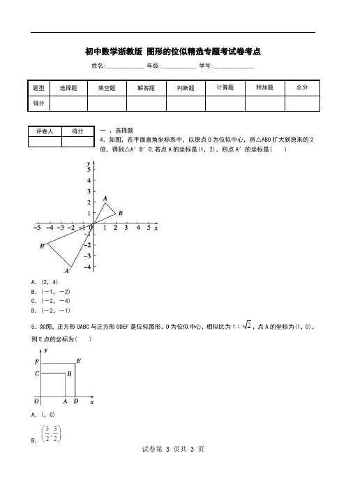 初中数学浙教版 图形的位似精选专题考试卷考点.doc