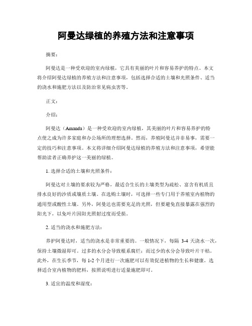 阿曼达绿植的养殖方法和注意事项