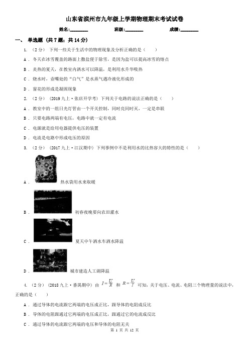 山东省滨州市九年级上学期物理期末考试试卷