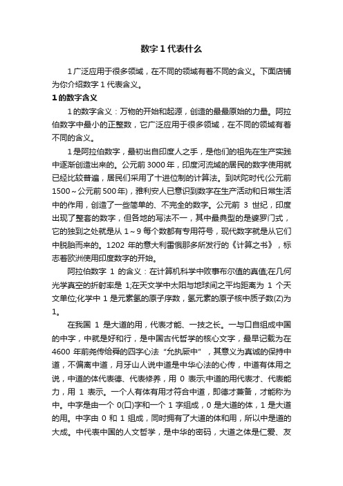 数字1代表什么