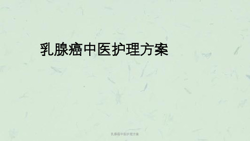 乳腺癌中医护理方案课件