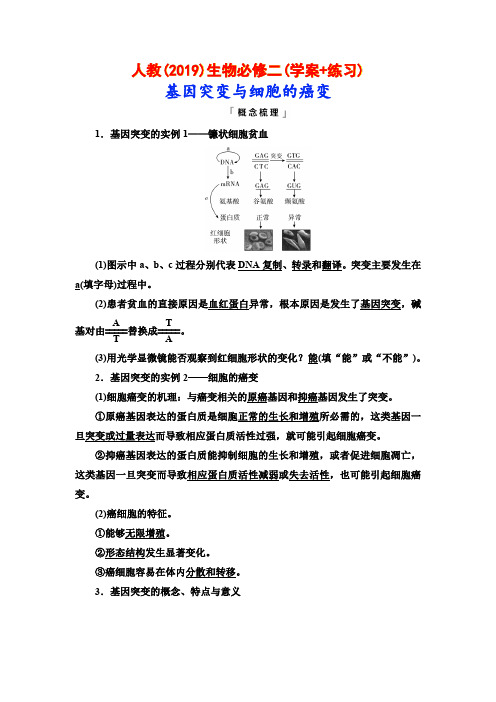 人教(2019)生物必修二(学案+练习)：基因突变与细胞的癌变