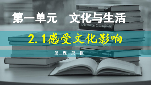 高中政治人教版必修3文化生活 2.1感受文化影响 课件 (共31张PPT) 