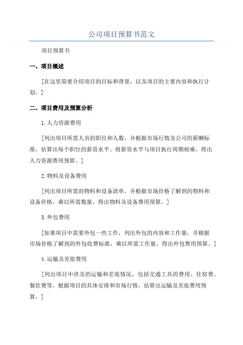 公司项目预算书范文