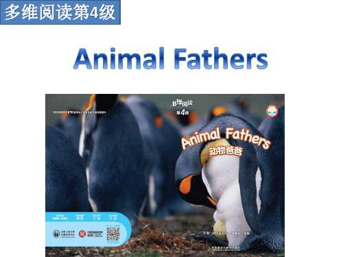 多维阅读第4级—Animal Fathers 动物爸爸