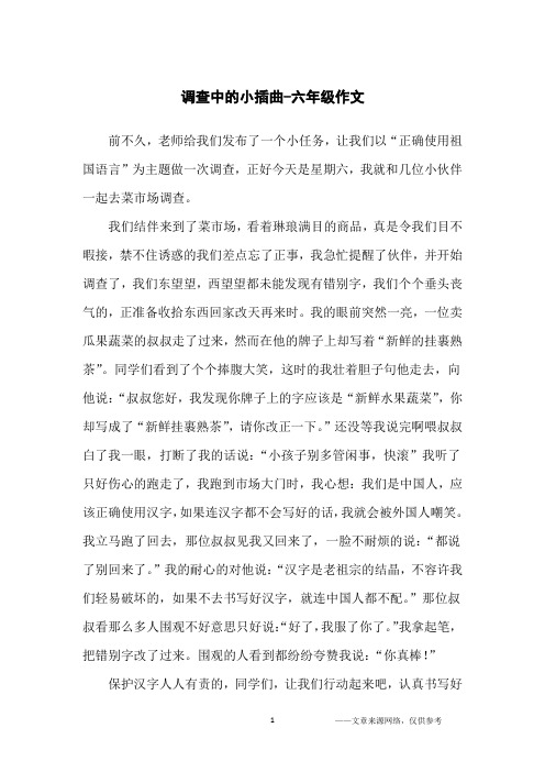 调查中的小插曲-六年级作文