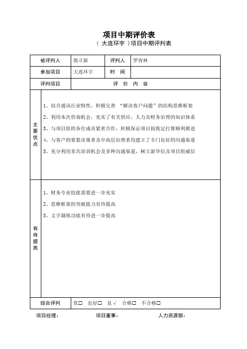 项目中期评价表