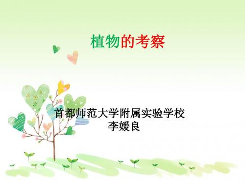 首师大小学科学六上《18.植物的考察》PPT课件