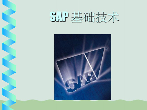 SAP基础技术简介PPT(共56页)