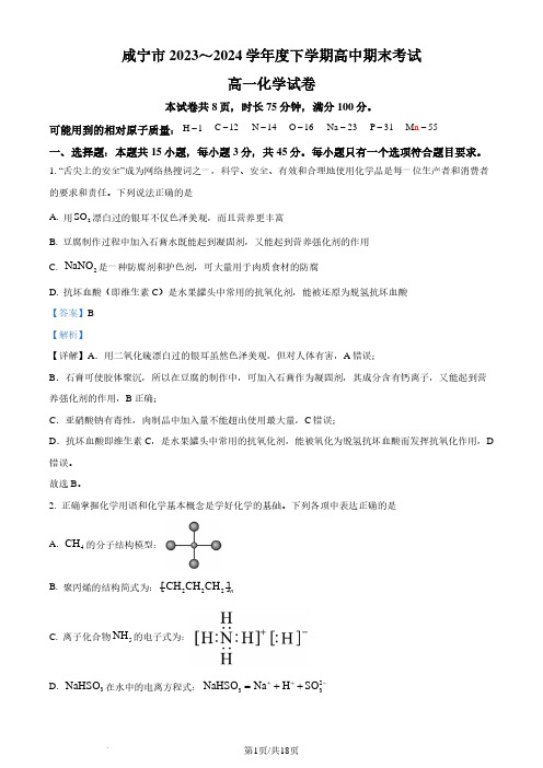 湖北省咸宁市2024年高一下学期期末联考化学试卷(解析版)