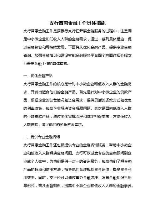 支行普惠金融工作具体措施