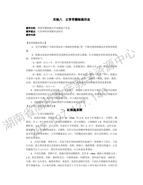 实验八：正常骨髓细胞形态.pdf