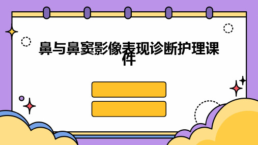 鼻与鼻窦影像表现诊断护理课件