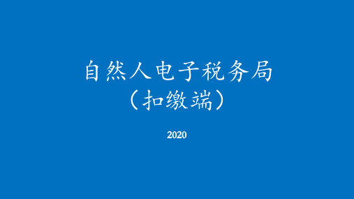 自然人电子税务局(扣缴端)培训课件