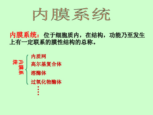 大学医学细胞生物学内膜系统上精品PPT课件