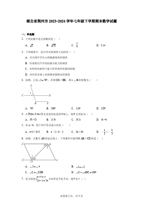 湖北省荆州市2023-2024学年七年级下学期期末数学试题