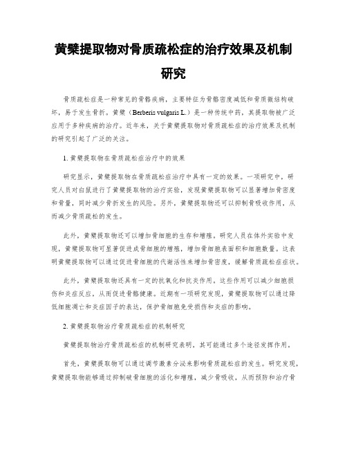 黄檗提取物对骨质疏松症的治疗效果及机制研究