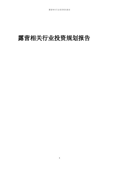 露营相关行业投资规划报告