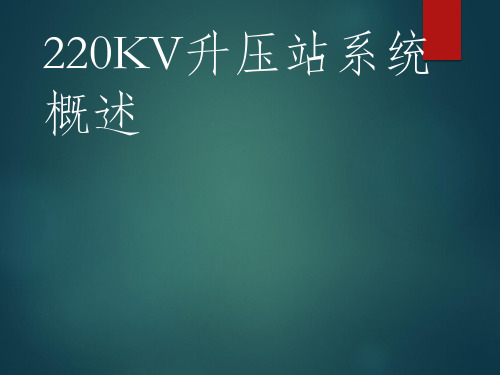 电厂220KV升压站设备介绍