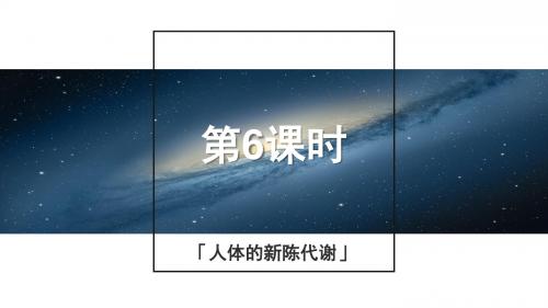 浙教版科学2015年中考复习《中考拐点》第6课时 人体的新陈代谢