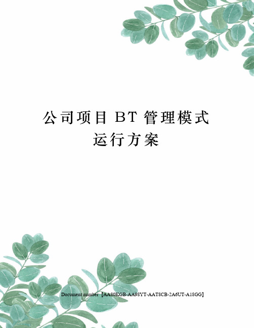 公司项目BT管理模式运行方案