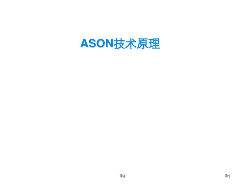 ASON技术原理