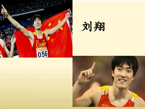 4.翻越远方的大山PPT课件