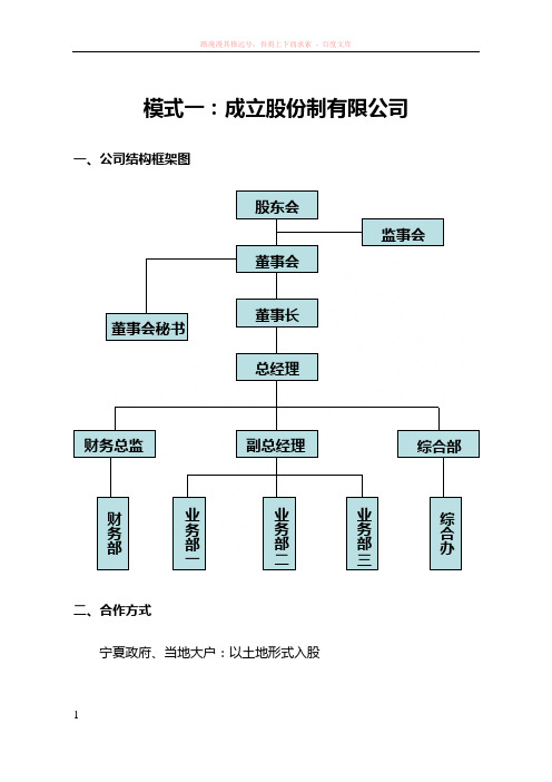 设立股份公司(模式一)