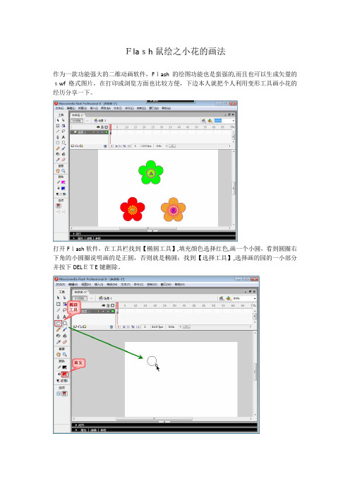 「用Flash8画简单的花」