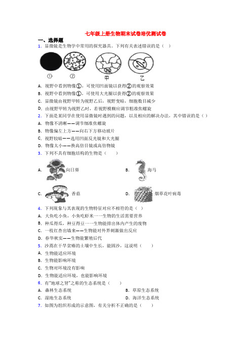 七年级上册生物期末试卷培优测试卷