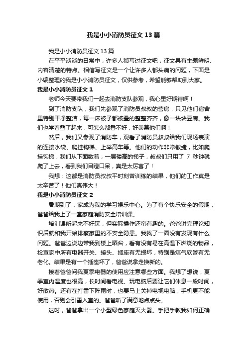 我是小小消防员征文13篇