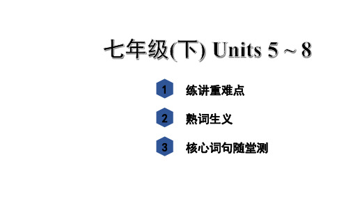 2020-2021学年人教版河北省中考英语复习七年级下册Units5~8重难点复习