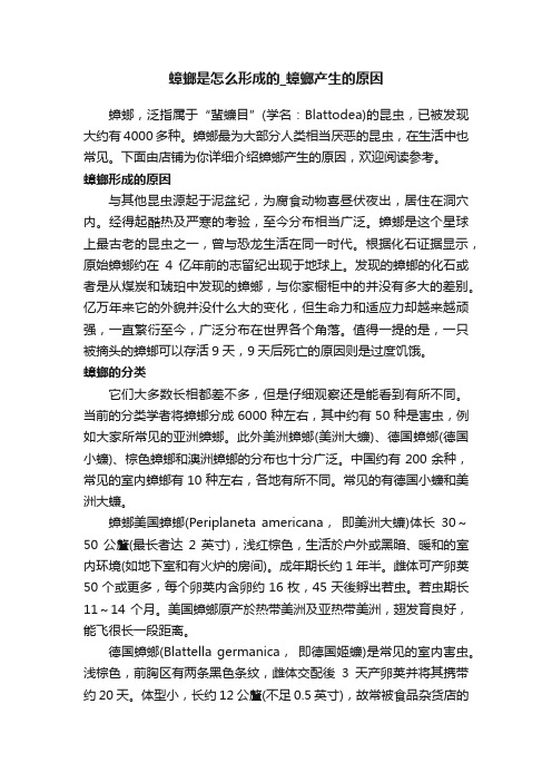 蟑螂是怎么形成的_蟑螂产生的原因