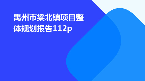 禹州市梁北镇项目整体规划报告112p