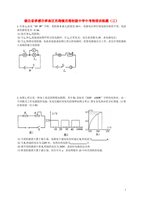 湖北省孝感市孝南区肖港镇肖港初级中学中考物理训练题(三)(无答案)