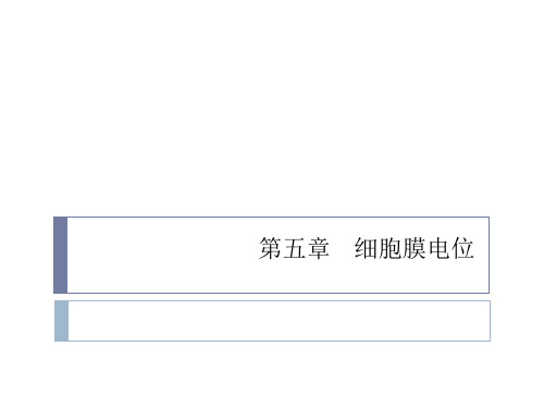 第五章   细胞膜电位