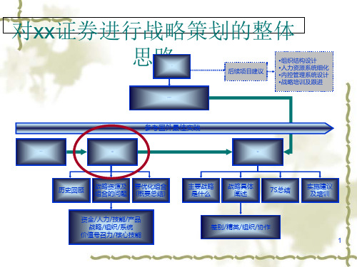 企业战略资源及其配置分析报告