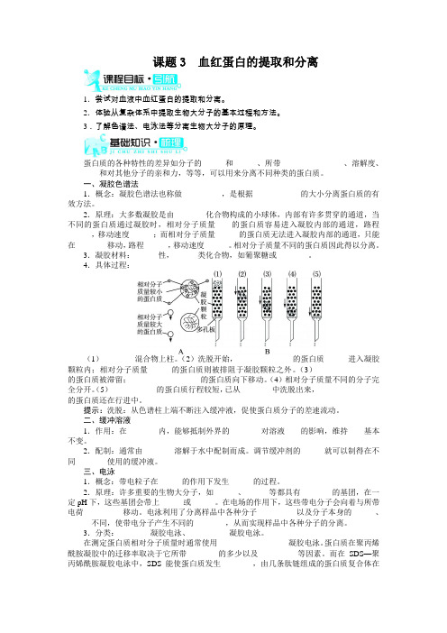 人教版选修1 血红蛋白的提取和分离 学案