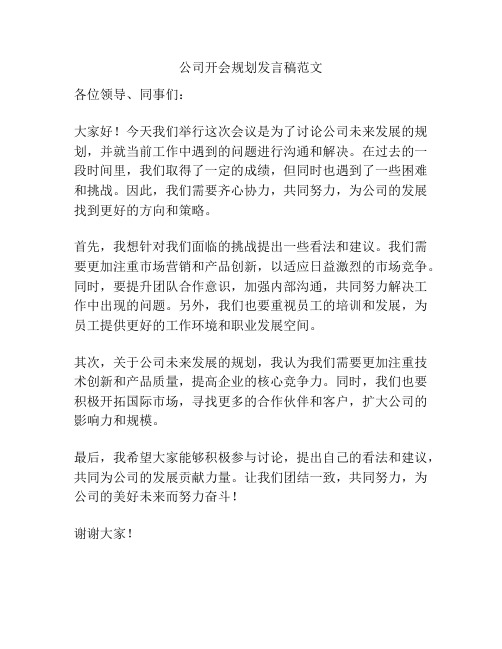 公司开会规划发言稿范文