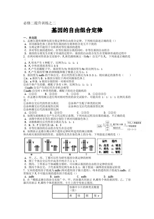 高中生物必修二提升训练之二：基因的自由组合定律