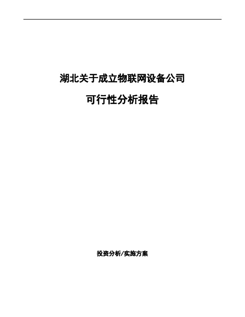 湖北关于成立物联网设备公司可行性分析报告