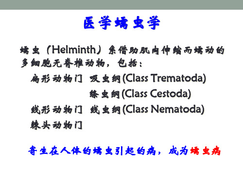 线虫-寄生虫-复旦精品
