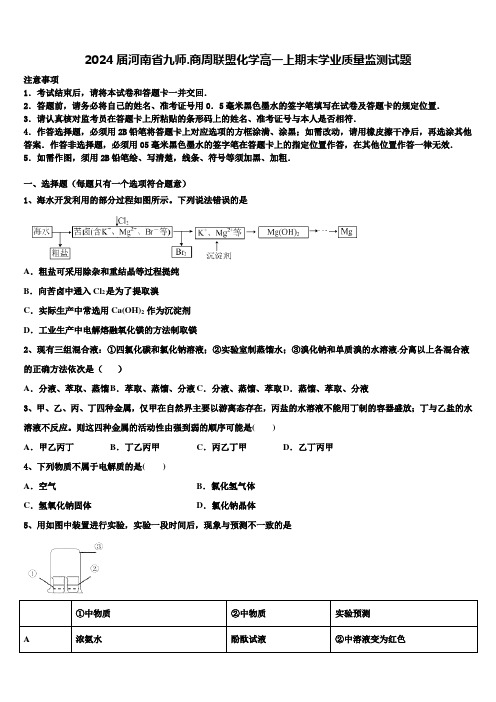 2024届河南省九师.商周联盟化学高一上期末学业质量监测试题含解析