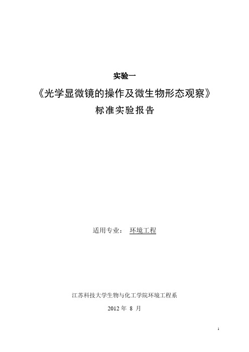 光学显微镜的操作及微生物形态观察-实验一