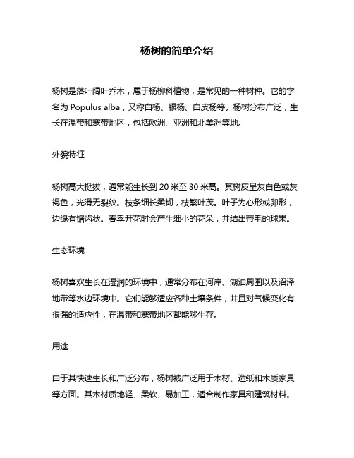 杨树的简单介绍