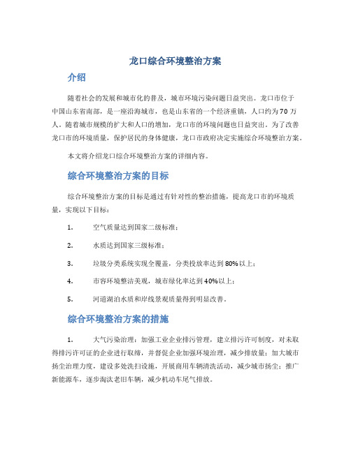 龙口综合环境整治方案