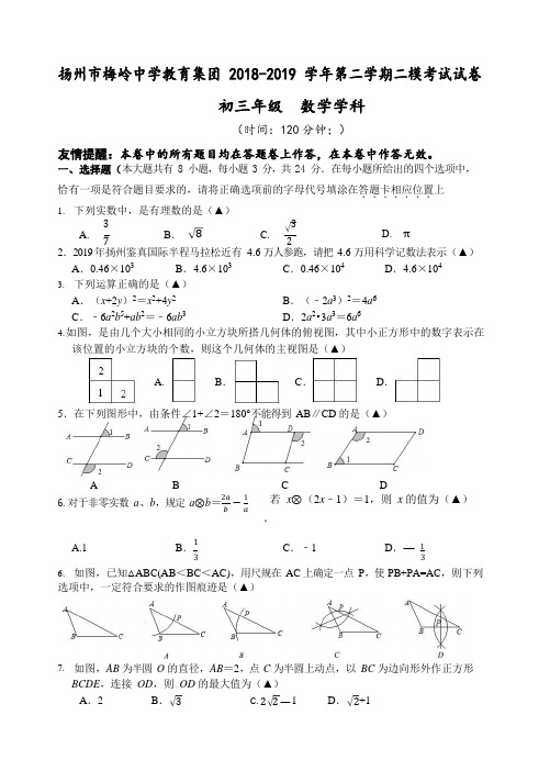 扬州市梅岭中学2019届九年级中考二模数学试题(word版)