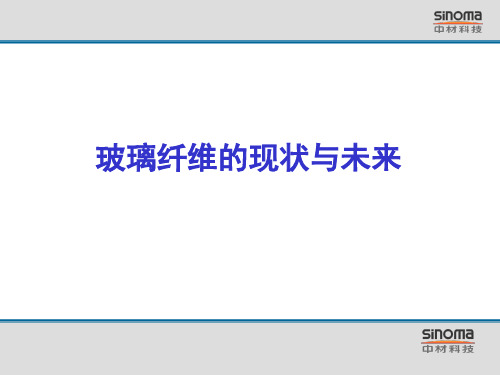 玻璃纤维的现状与未来-文档资料