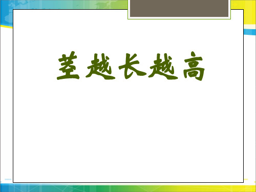 《茎越长越高》植物的生长变化PPT课件2【优秀课件推荐】